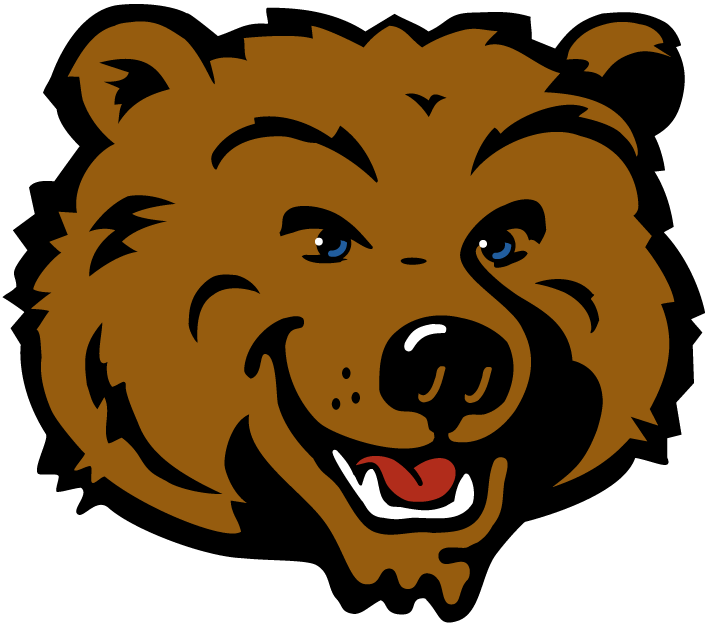 UCLA Bruins 2004-Pres Mascot Logo v3 diy fabric transfer